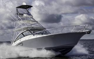 41 Custom Carolina Edition