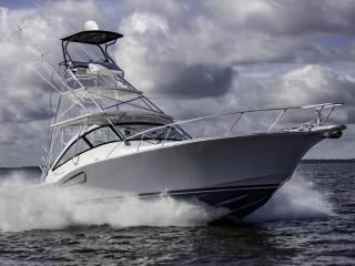 41 Custom Carolina Edition