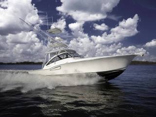 41 Custom Carolina Edition