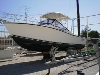 CAROLINA CLASSIC 25 (2004)