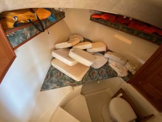 CAROLINA CLASSIC 25 (2004)