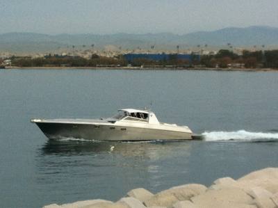 MAGNUM 50