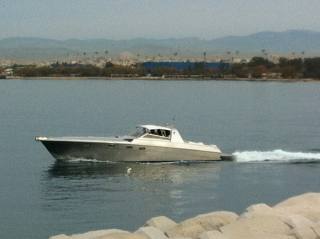 MAGNUM 50