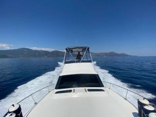 LUHRS 320