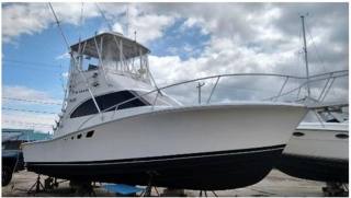 LUHRS 320
